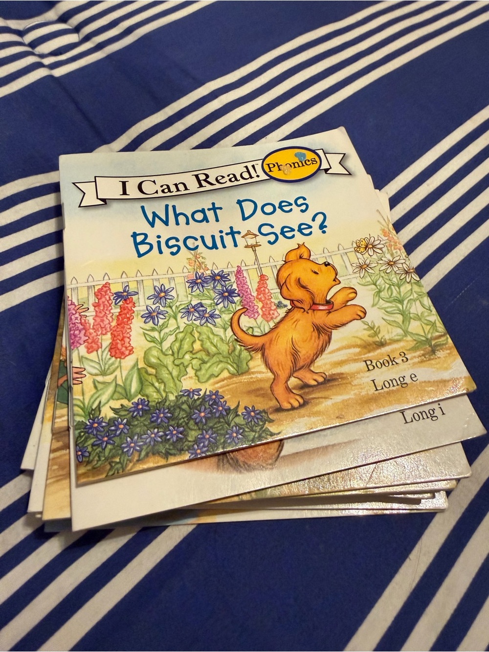Phonics: What Does Biscuit See? - Blue Cover
